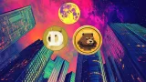 Kryptomena Beerbear zaujala investorov