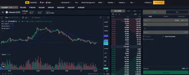 Litecoin na burze BITmarkets