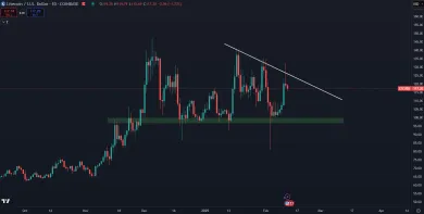 Litecoin vedie v ziskovosti