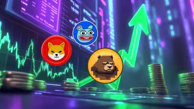 Nový memecoin s potenciálom