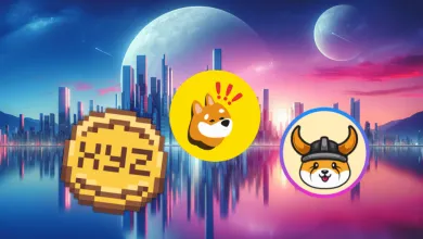 Objavte novú potenciálnu kryptomenu