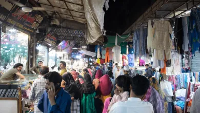 Pakistan a Nigéria zaznamenajú vysoký nárast populácie