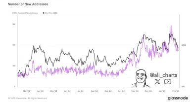 Počet nových Solana adries