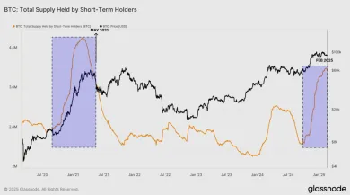 Podiel krátkodobých držiteľov BTC
