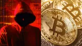 Podvody na kryptotrhu