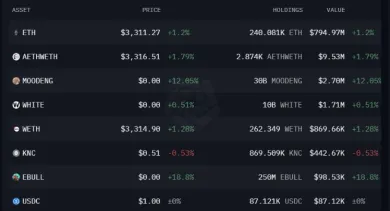 Portfólio Vitalika Buterina