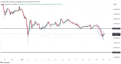 Predajný tlak Shiba Inu