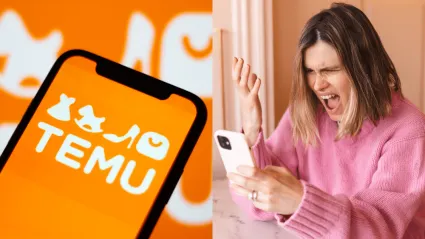 Temu kradne slovenským podnikateľom fotky originálnych produktov