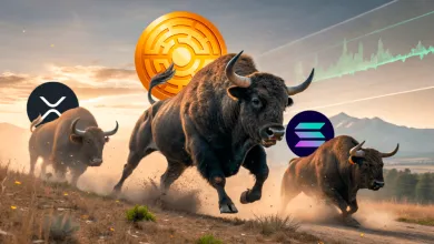 Tieto kryptomeny sú pripravené rásť