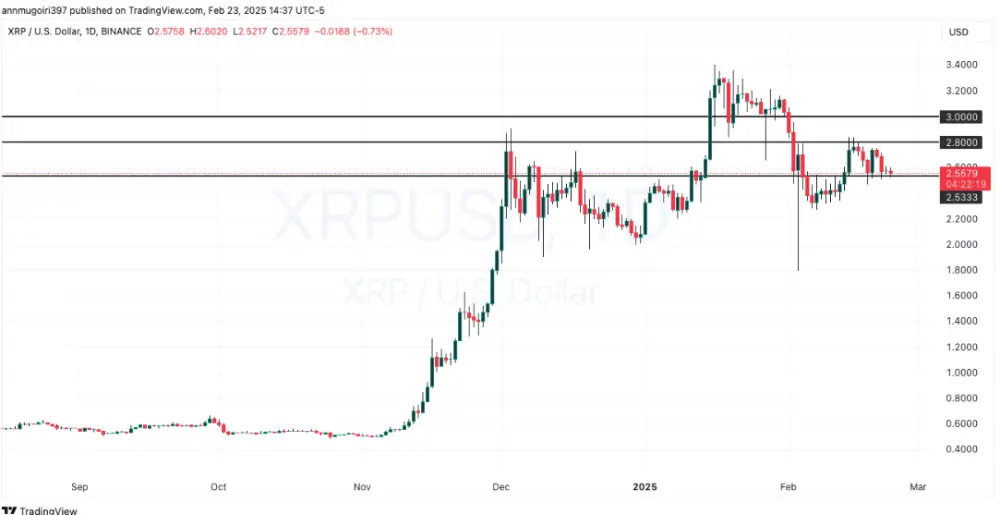XRP testuje support