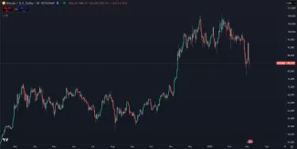 Bitcoin a jeho trhová cena