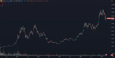 Bitcoin dlhodobo stúpa