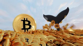 Bitcoin hromadia veľkí hráči