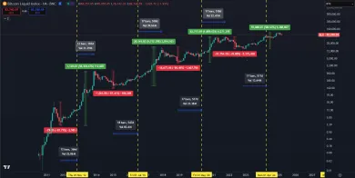 Bitcoinové cykly a ziskovosť
