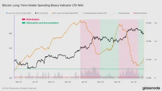 Dlhodobí držitelia Bitcoinu
