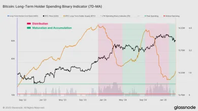 Dlhodobí držitelia Bitcoinu