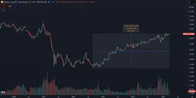 Dlhodobý rast bitcoinovej dominancie