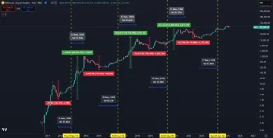 Halvingové cykly Bitcoinu