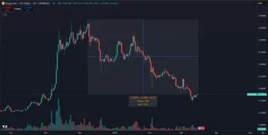 Masívny pokles DOGE