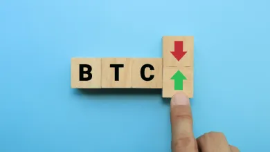 Predpredaje kryptomien lákajú investorov