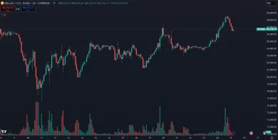 Rast Bitcoinu za posledné dni