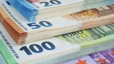 Slovenská záručná a rozvojová banka má za sebou úspešný rok