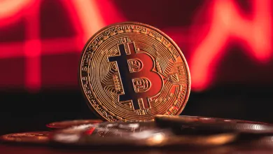 Sú kryptomeny odpoveďou na recesiu?