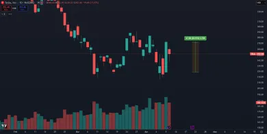 Akcie Tesly zaznamenali rast