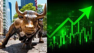 Akcie zlomili rekord rastu