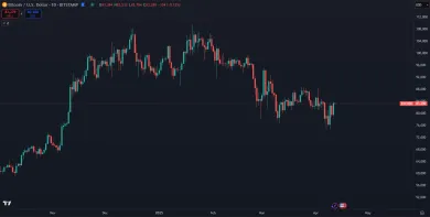 Bitcoin a jeho trhová cena v roku 2025