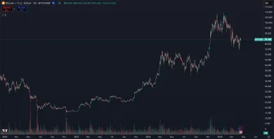 Bitcoin dlhodobo stúpa na hodnote