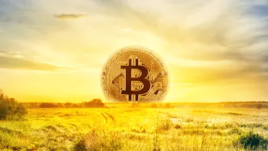 Bitcoin je víťaz na globálnych trhoch