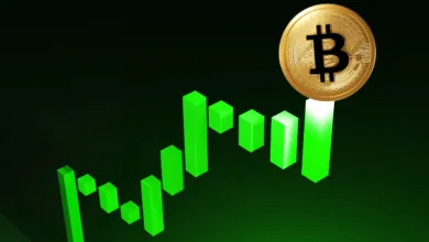 Bitcoin opakuje rok 2021