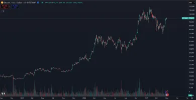 Bitcoin rastie od novembra 2022