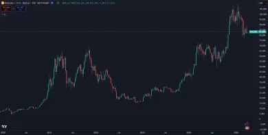 Bitcoin v dlhodobom rastúcom trende