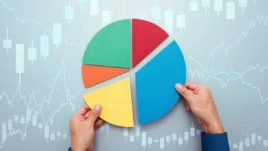 Diverzifikácia je kľúčom k úspechu