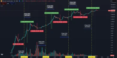 Dlhodobé zhodnotenie BTC