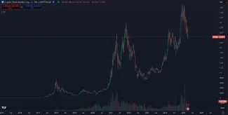 Dlhodobý rast hodnoty kryptomien