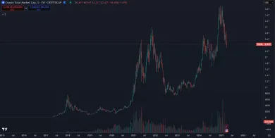 Dlhodobý rast hodnoty kryptomien