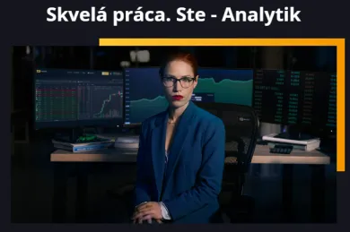 Investor analytik