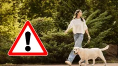 Katastrofa pre psíčkarov