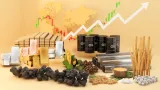 Komodity a kurz o investovaní od XTB