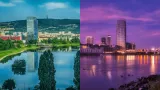 Kuchajda v obkľúčení mrakodrapov