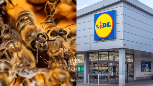Lidl sa spája so včelami