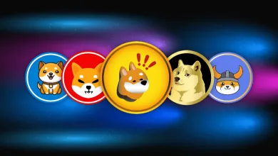 Meme coiny kraľujú ziskom