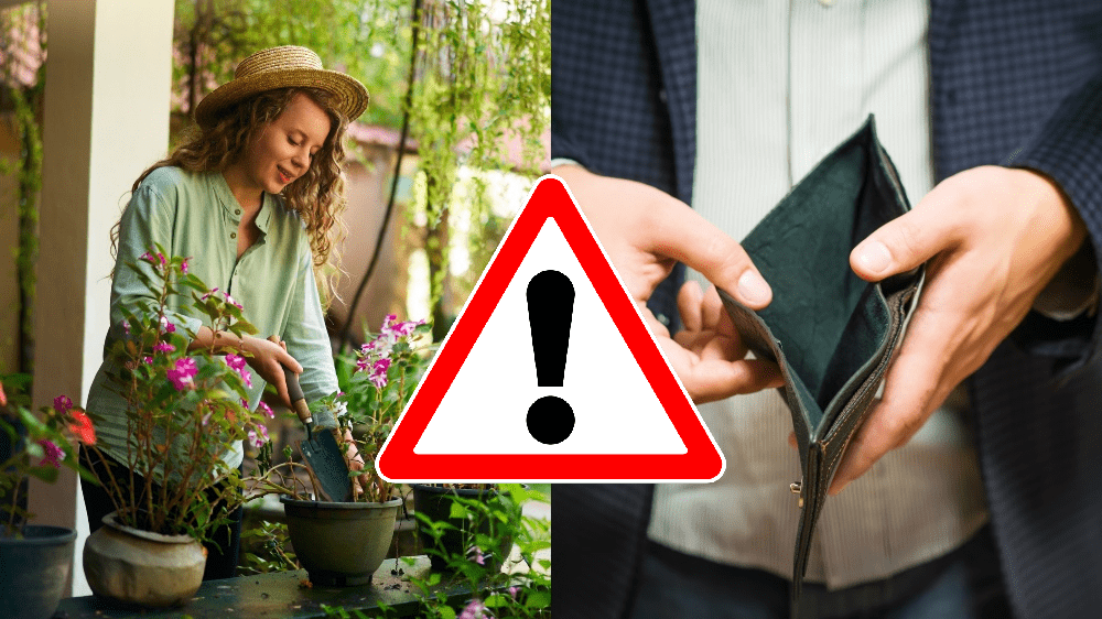 Najdrahšia chyba slovenských záhradkárov