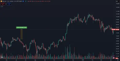 Nárast Bitcoinu za 1 rok