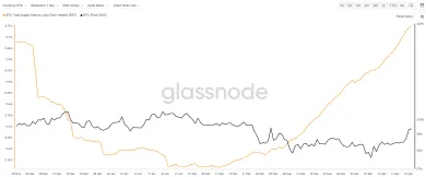Nárast držieb dlhodobých držiteľov