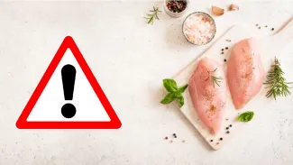 Nebezpečná salmonela v poľských kuracích prsiach