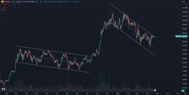 Paralela s rokom 2024